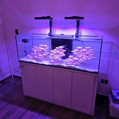 Finalizado Estilo Americano