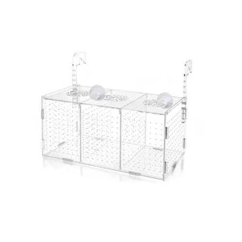 CAJA DE MATERNIDAD