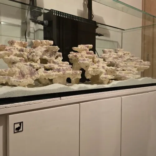 Aquascaping