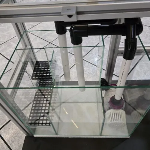 SUMP estilo Asiático