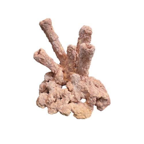 INSERTO TIPO ESPONJA